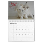 猫と犬が仲良し カレンダー (2月 2027)