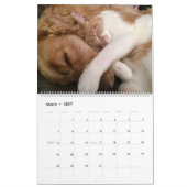 猫と犬が仲良し カレンダー (3月 2027)