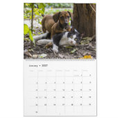 猫と犬が仲良し カレンダー (1月 2027)