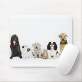 猫と犬が座っているポートレート マウスパッド (マウス)