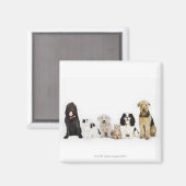 猫と犬が座っているポートレート マグネット (正面/裏面)