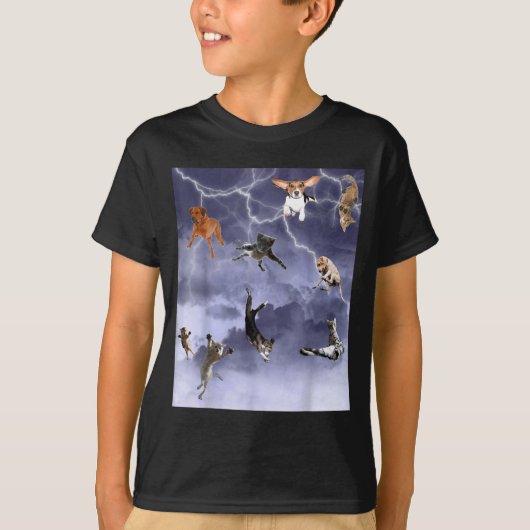 猫と犬が降るおかしい天気 Tシャツ (正面)