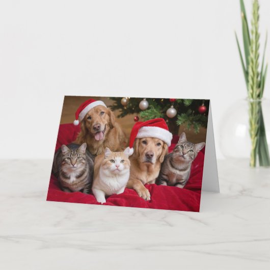 猫と犬のクリスマス折り返しグリーティングカード カード (正面)