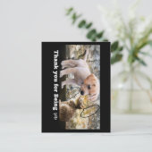 猫と犬のテキストありがとう ポストカード (スタンド正面)