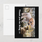 猫と犬のテキストありがとう ポストカード (正面/裏面)