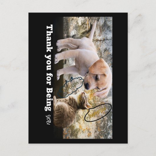 猫と犬のテキストありがとう ポストカード (正面)