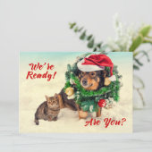猫と犬の両面クリスマスカード シーズンカード (スタンド正面)