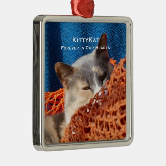 猫と犬の写真のプレミアパーソナライズされたムメモリ メタルオーナメント (右)