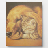 猫と犬 フォトプラーク (正面)