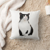 猫と犬、ペット装飾用クッション16インチx 16インチ クッション (ブランケット)