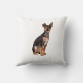 猫と犬、ペット装飾用クッション16インチx 16インチ クッション (裏面)