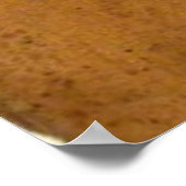 猫と猫の枕|過去記事 ポスター (角)