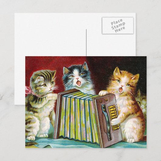 「猫と絞り器」 ポストカード (正面/裏面)