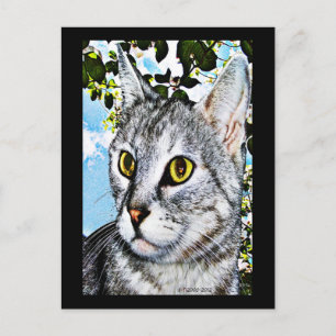 猫と自然「フル開花」デジタル・アート ポストカード