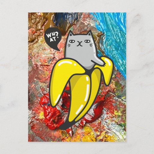 猫と色 ポストカード (正面)