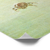 猫と蜘蛛,東皐猫とクモ，東光 ポスター (角)