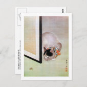 猫と蜘蛛,東皐猫とクモ,東湖 ポストカード (正面/裏面)