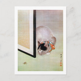 猫と蜘蛛,東皐猫とクモ，東湖 ポストカード