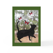 猫と蝶、あなたのことを想うカード