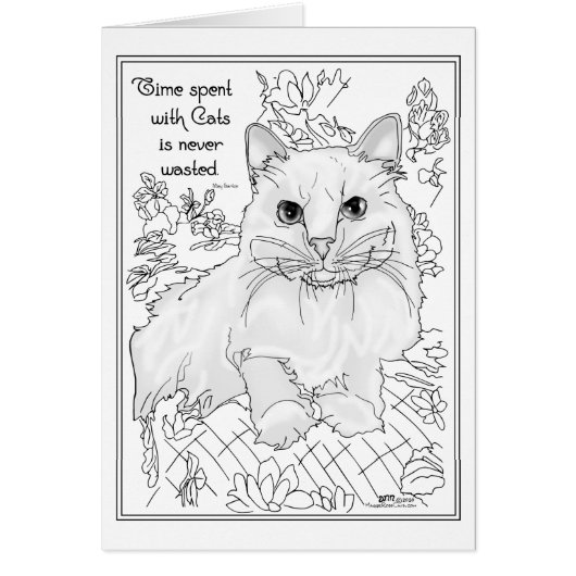 猫と過ごす時間 (正面)