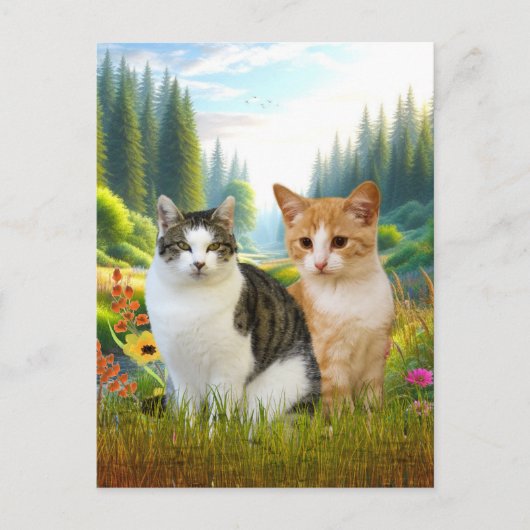 猫と野の花の草原 ポストカード (正面)