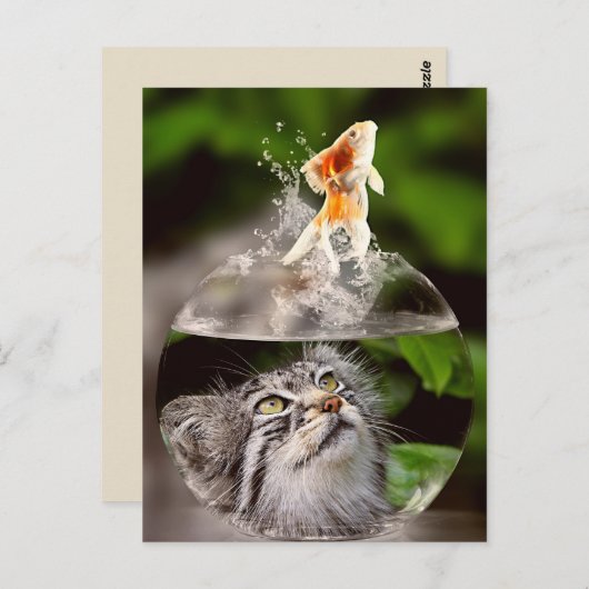 猫と金魚のはがき ポストカード (正面/裏面)