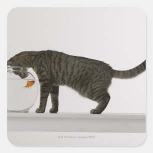 猫と金魚 スクエアシール