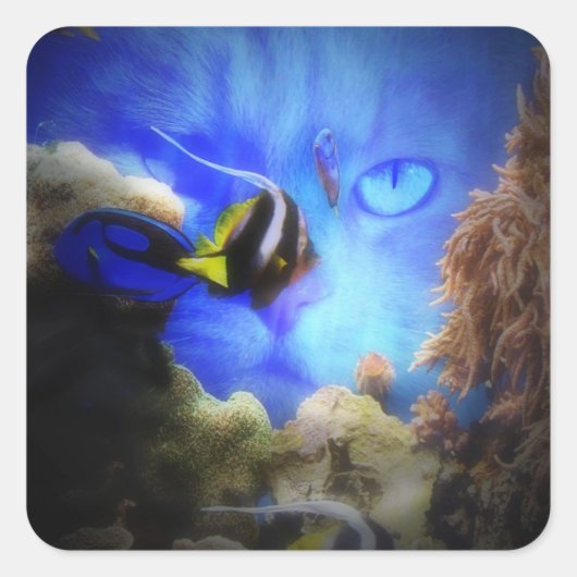 猫と魚のかわいいステッおもしろいク スクエアシール (正面)