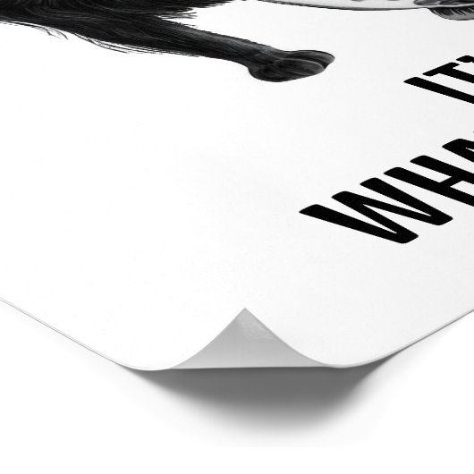 猫と魚 ポスター (角)