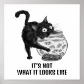 猫と魚 ポスター (正面)