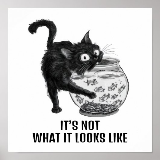 猫と魚 ポスター (正面)