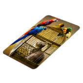 猫と鳥 マグネット (左側)