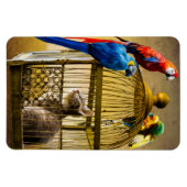 猫と鳥 マグネット (横)