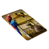 猫と鳥 マグネット (右側)