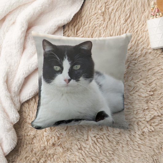 猫と黒と白のタキシードの写真 クッション (ブランケット)