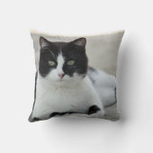猫と黒と白のタキシードの写真 クッション (裏面)