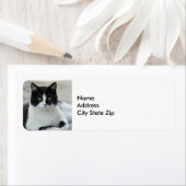猫と黒と白のタキシードの写真 ラベル (インサイチュ)