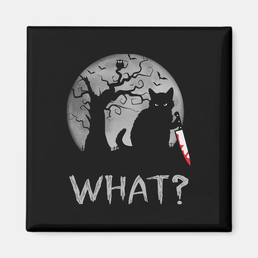 猫なんと殺意な黒猫のナイフの衣装はハ マグネット (正面)