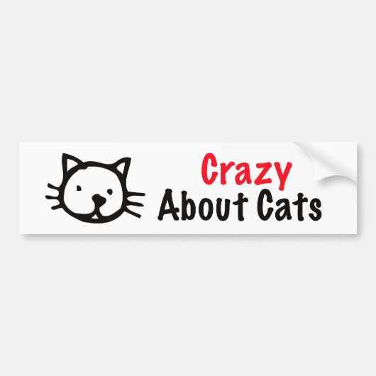 猫について熱狂する バンパーステッカー (正面)