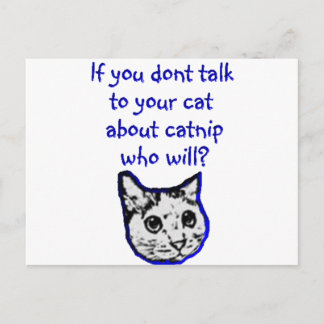 猫について猫に話す ポストカード