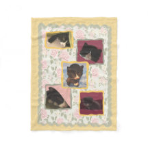 猫によって、子猫猫は甘い家が家へ帰ります