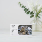 猫に主演したユキヒョウ 名刺 (スタンド正面)