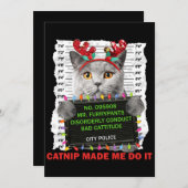 猫に人気のクリスマスプレゼント 猫好きな母と父へのプレゼント シーズンカード (正面/裏面)