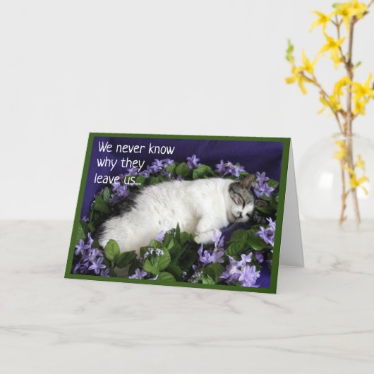 猫に共感するカード カード (黄色い花)