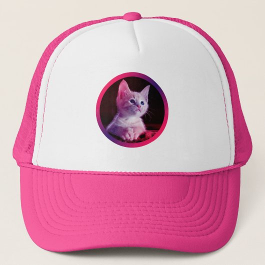 猫に対する愛情をファッショナブルに見せる。 キャップ (正面)