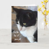 猫に詩を作って死んだ時。 カード (黄色い花)