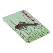 猫に魚 マグネット (右側)
