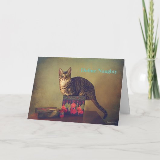 猫のいけなクリスマスカード シーズンカード (正面)