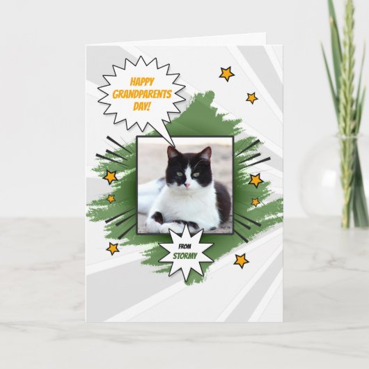 猫のおばあちゃんの写真を見て カード (正面)