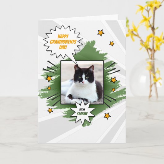 猫のおばあちゃんの写真を見て カード (黄色い花)